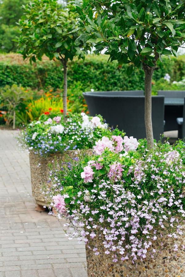 Trefloyne Manor Guest House เท็นบี ภายนอก รูปภาพ